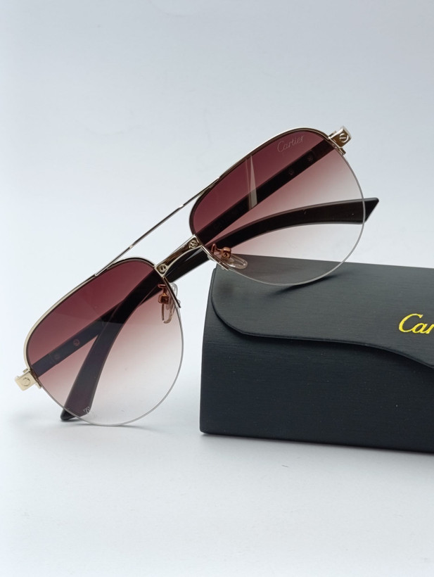 عینک آفتابی مردانه کارتیر CA120 |